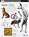 DK Eyewitness Books: Dog