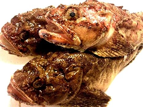 Amazon 産直丸魚 北三陸 岩手洋野町産 お鍋でどうぞ カジカのぶつ切り 1ｋｇ入 トウベツカジカ かじか 洋野町種市のさかなや 産直丸魚 鮮魚 通販