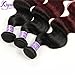 T1B/99J Ombre Brazilian Body Wave 2 Tone Black to Burgundy Human Hair Weave (10 12 14)