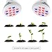 Goodia 24W Led Grow light Bulb, with Red Blue Spectrum, E26 Base Grow Plant Light for Indoor Plants Hydroponic Garden Greenhouse (3 Bands)