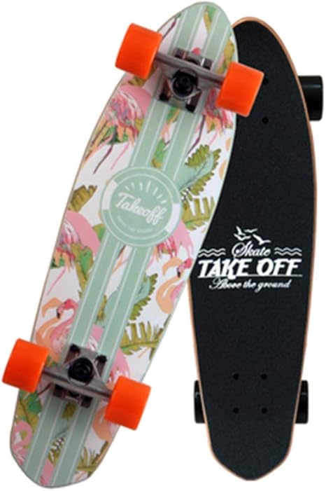 Longboard Oder Penny Board Fur Anfanger