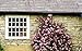 GE SmartHome Security Sign with Yard Stake and Window Decals, Home Protection Warning, Premises Protected by Security System, 45400