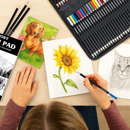 KINSPORY 78PCS Coloring Pencils with 3.0mm Soft Leads, 50-Sheet 3-Color Sketch Book, Sketching Kit with Adjustable Shoulder Strap - Art Set Gift for Adults Artists Beginners Teens Girls Boys