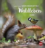 Trunov Waldtiere Postkartenkalender 2020 by 
