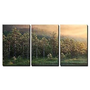 3 Piece Canvas Wall Art - Forest and a Small Pond at The First Ray of Light on a Foggy Morning - Modern Home Art Stretched and Framed Ready to Hang - 16"x24"x3 Panels