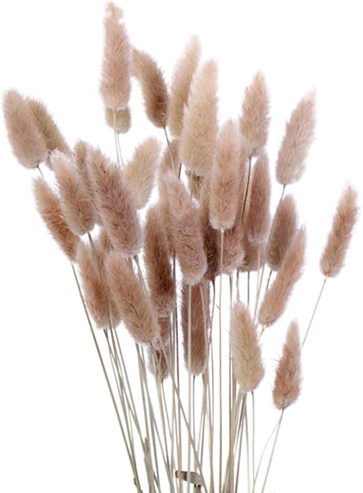 dried grass for rabbits