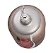 Coca-Cola Kurt Adler 3.875-Inch Glass Diet Coke Can Ornament