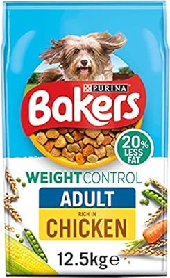 brachycephalic obstructive airway syndrome