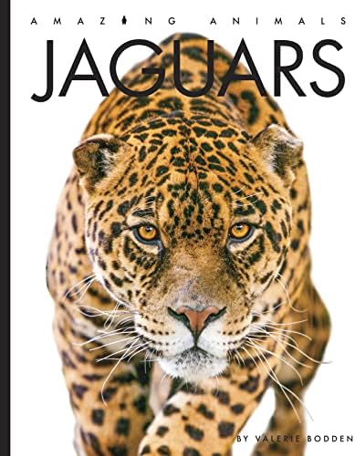 Heart of the Jaguar: The Extraordinary Conservation Effort to Save