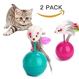 Cat Toy ,Catnip Toy ,Cat Teaser,2 Pack Roly-poly