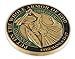 Forge Put On The Whole Armor of God EPH 6:13-17 Enamel 3D Challenge Coins (Antique Gold (1 Coin))