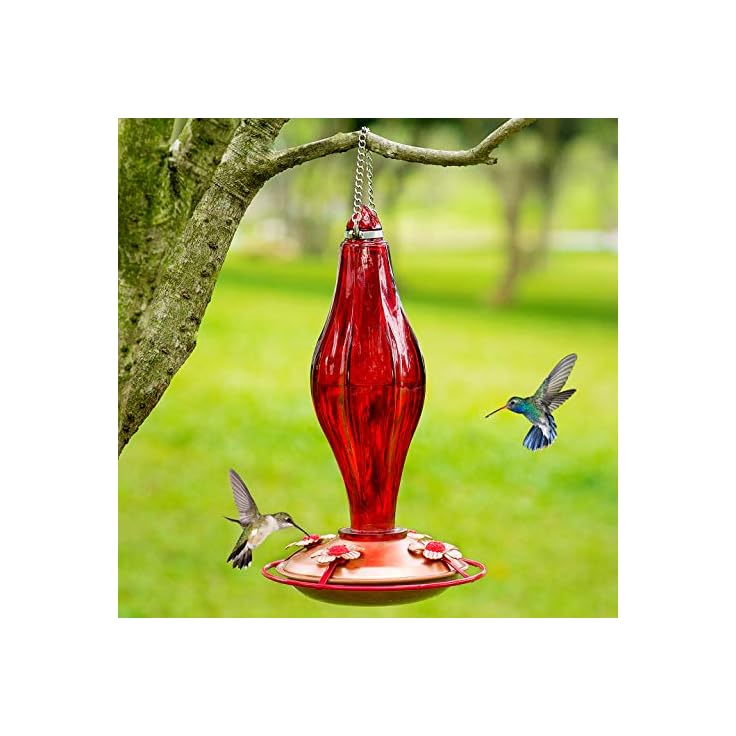 Glass Hummingbird Feeder with Perch 4 Feeding Ports LakeHouseLifer