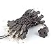 Novelty Lights 11 Feet 50 Bulbs Traditional Incandescent Mini Lights, Clear on Brown Wire with 2.5