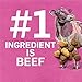 Purina Beyond Natural Dry Dog Food, Simply Farm Raised Beef, Barley & Cage Free Egg Recipe - 13 lb. Bag