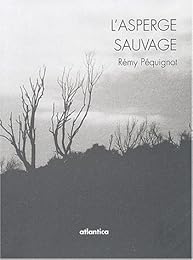 L' asperge sauvage