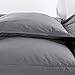 ROSECOSE Luxurious Medium Weight Goose Down Comforter King Size Duvet Insert All Seasons Hypo-allergenic 1200 Thread Count 750+ Fill Power 100% Cotton Shell Down Proof Tabs Gray (King, Gray)