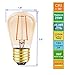 Hizashi 15 Pack S14 Replacement Light Bulbs, 2W=25 Watt Outdoor Edison Bulbs Dimmable E26 Base, Amber 2200K S14 LED Bulbs, Outdoor String Lights Bulbs Replacement, Shatterproof Waterproof, UL Listed
