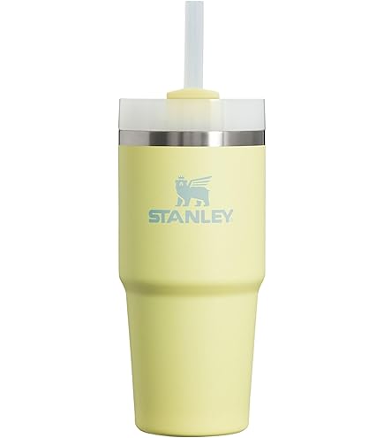 Amazon.com: STANLEY Quencher H2.0 Tumbler with Straw 20 oz