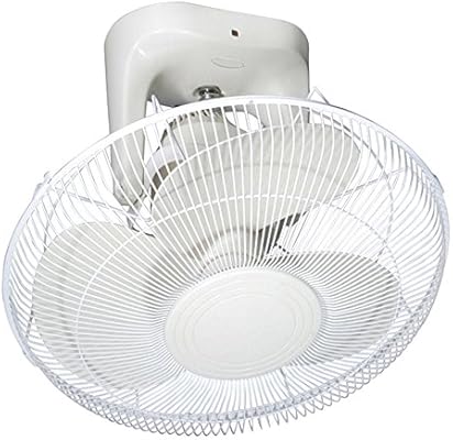 Pb Wall Fan Electric Fan Mechanical 16 Roof Fan Ceiling Fan