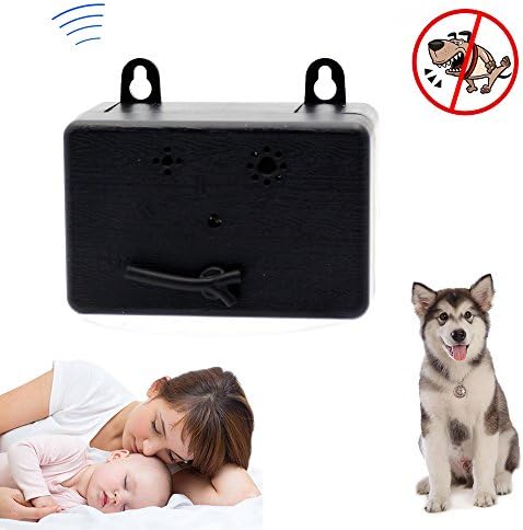 special kitty odor control