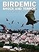 Birdemic