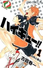 ハイキュー!! 全45巻 （古舘春一）