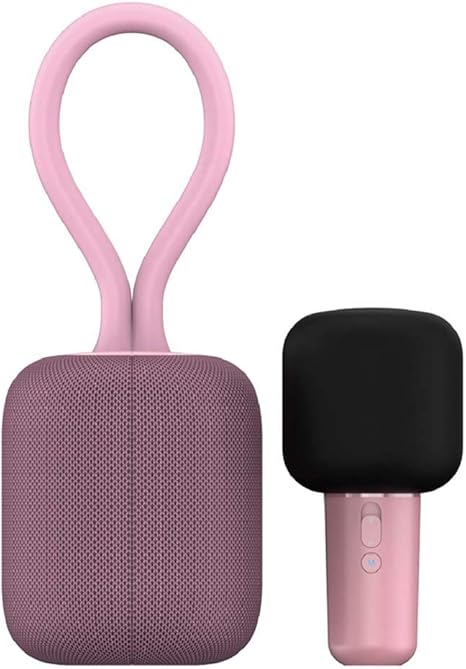 portable bluetooth speakers with microphone