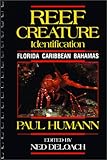 Front cover for the book Reef Creature Identification: Florida Caribbean Bahamas by Paul Humann