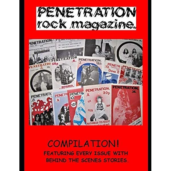 Amazon.com: The Best of Punk Magazine: 9780061958359: Holmstrom