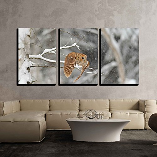 Best flying owl wall art for 2018