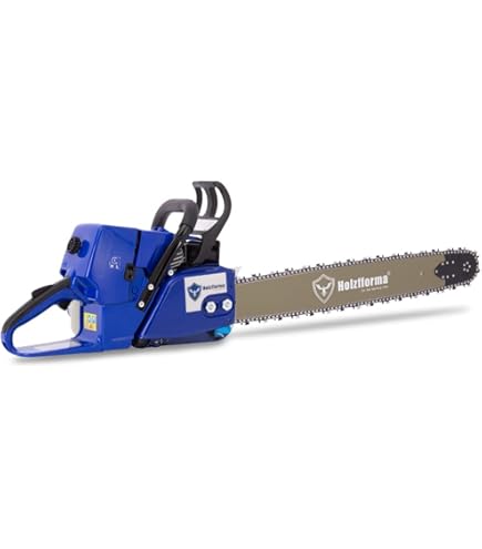 51FTVvVb6mL._AC_UL495_SR435,