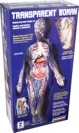 the human body science kit