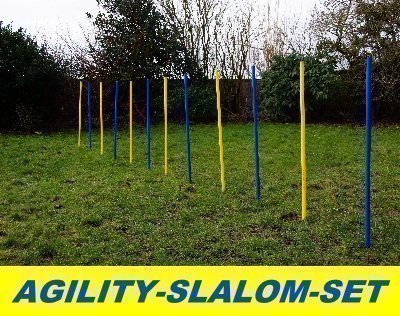 AGILITY-ÜBUNGS-SLALOM-SET BLAU/GELB FLEXIBLE,RUNDE STANGEN