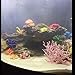 ONST Artificial Coral, Multiple Styles Fake Resin Miniature Reef for Fish Tank Aquarium Small Decoration Vibrant,Beautiful and Realistic Ornaments