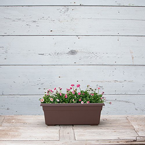 2 Countryside+Flower+Planterx+Brown+8+Inch