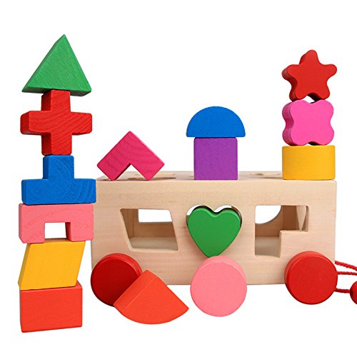 Kanzd Kids Baby Wooden Learning Geometry Educational Toys Puzzle 3D IQ Puzzle for Kids (A)