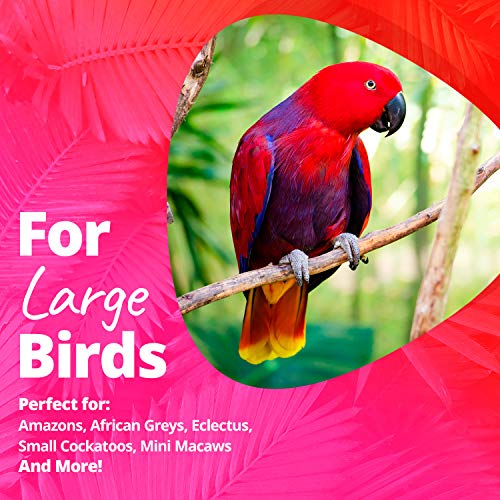 1 Super+Creations+SB1107+Bagel+Cascade