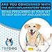 Glucosamine Chondroitin Soft Chewables for Dogs Turmeric, Arthritis Pain and Hip Dysplasia Treatment-Made in USA-Chicken Flavor-120 Chews