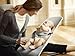 BabyBjörn Bouncer Balance Soft, Mesh, Silver/White (005029US)