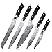 Japanese Damascus Knife Set 67 Layers High Carbon Stainless Steel, Chef Bread Carving Utility Paring Kitchen Knife Cutlery Set, G10 Handle, 5pcs