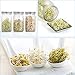 4 Pack Sprouting Lids, Rust Resistant Stainless Steel Sprouting Jar Lid Kit for Wide Mouth Mason Jars Canning Jars, Sprout Germinator Set to Grow Organic Sprout Seeds in House/Kitchen