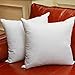 Set of 2, Square Decorative Throw Pillows Inserts Down and Feather Pillow Insert, Cotton Fabric, 26X26 Inches
