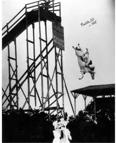 Quality digital print of a vintage photograph - Mrs. Padfield's Horse Dive. Black &amp; White 8x10 inches - Matte Finish