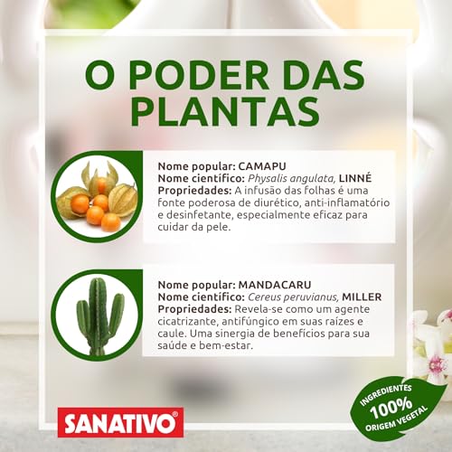 Shampoo Anticaspa Sanativo – Com Aroeira, Chá Verde, Melaleuca, Mentol, Ácido Lático, Salgueirinha e Salgueiro Branco | Combate Caspa, Oleosidade, Coceira e Refresca o Couro Cabeludo