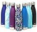 MIRA Vacuum Insulated Travel Water Bottle | Leak-proof Double Walled Stainless Steel Cola Shape Portable Water Bottle | No Sweating, Keeps Your Drink Hot & Cold | 17 Oz (500 ml) | Swirl