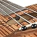 Caramel CC102A 23'' Zebra Wood Concert Acoustic Ukulele Bundle Bag Tuner Set