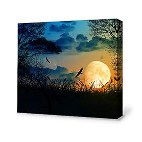 for Living Room Bedroom Home Artwork Paintings Secret...