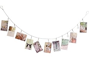 TFU Multi-Purpose Steel Wall Hanging Photo Display Cable Wire Rod with 12 Adjustable Clips for Hanging Photos Notes Postcard and Artworks (Flower)