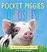 Pocket Piggies Opposites!: Featuring the Teacup Pigs of Pennywell Farm