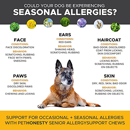 Pet Honesty Senior Dog Allergy Relief Immunity Chews Omega3 Salmon